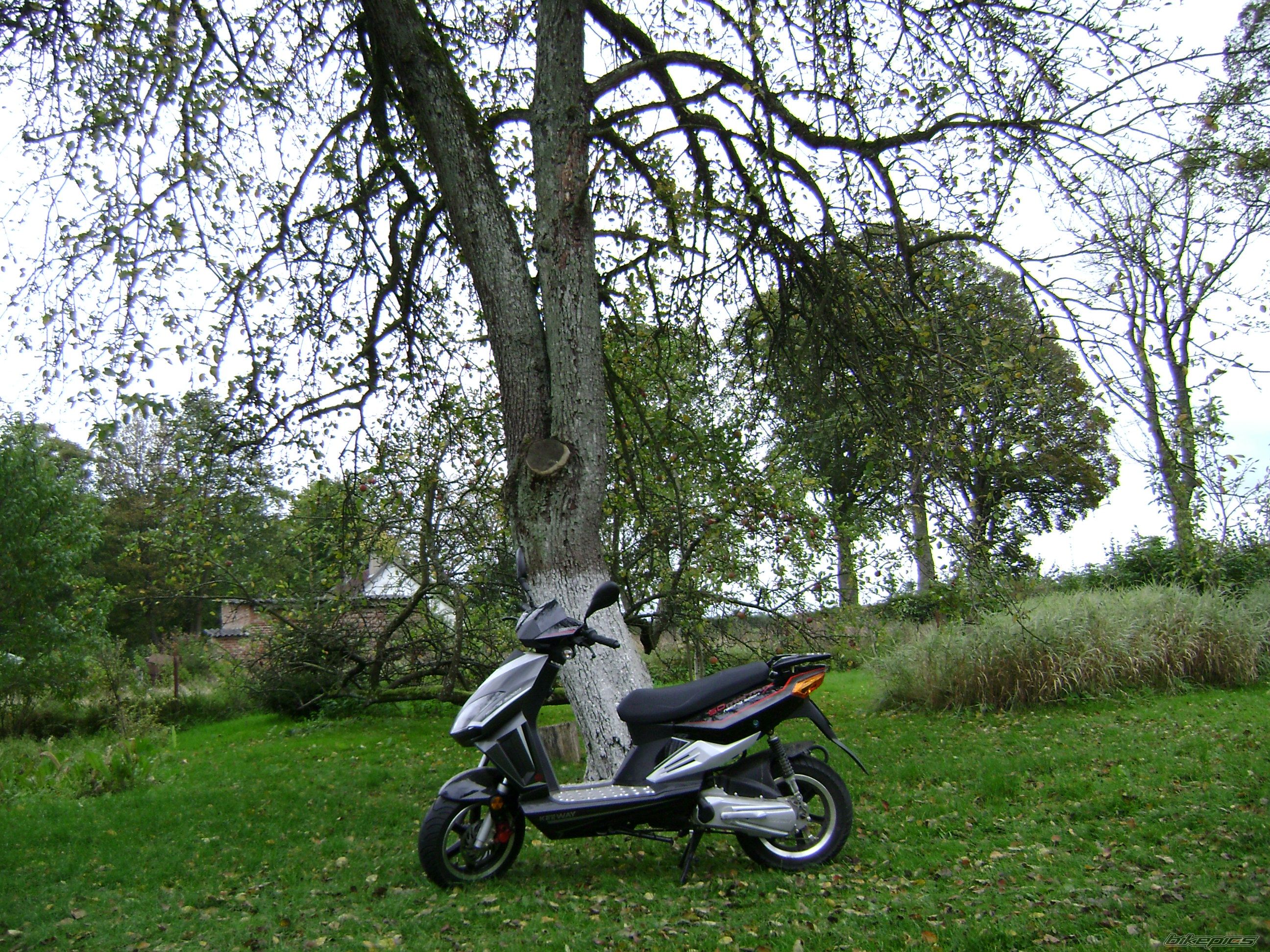 Photo 1039959