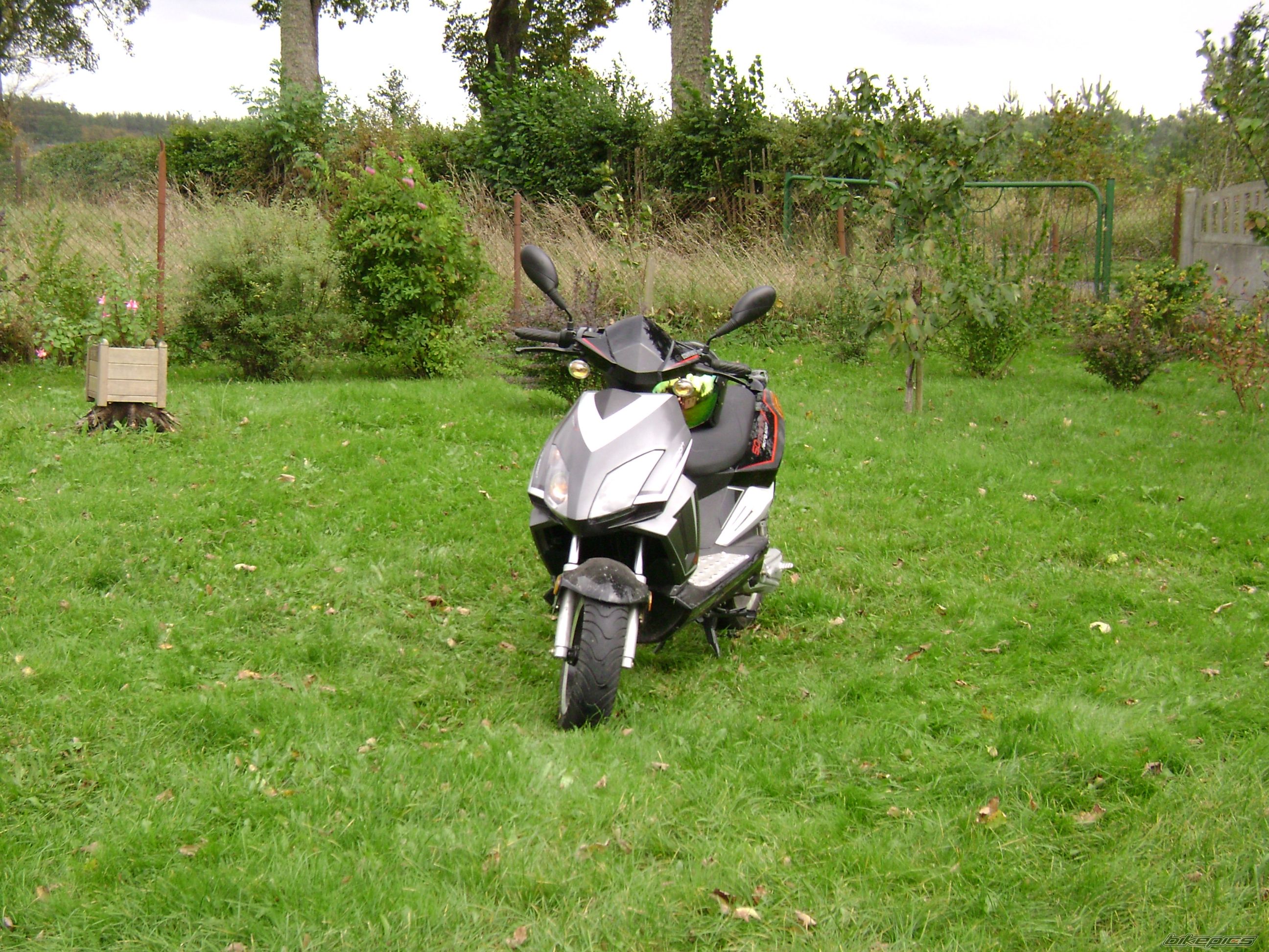 Photo 1040010