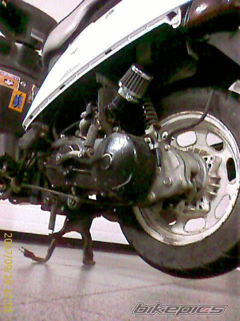 Photo 1040093
