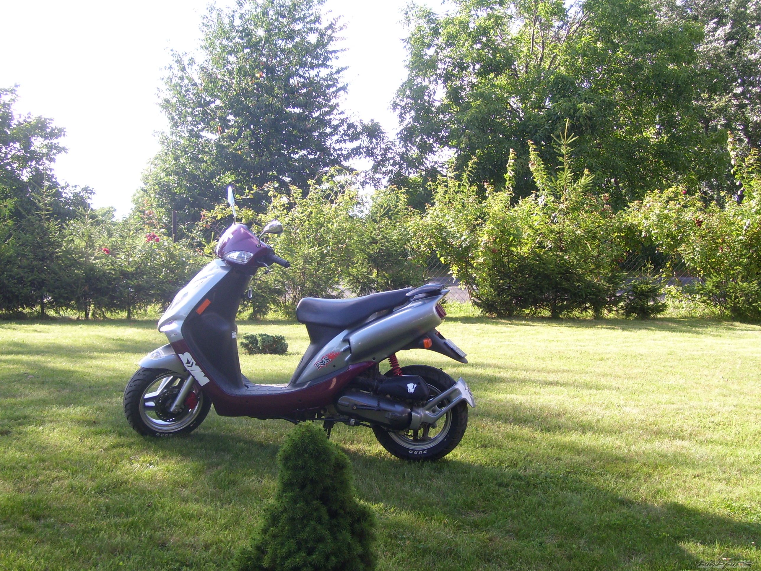 Photo 1040504