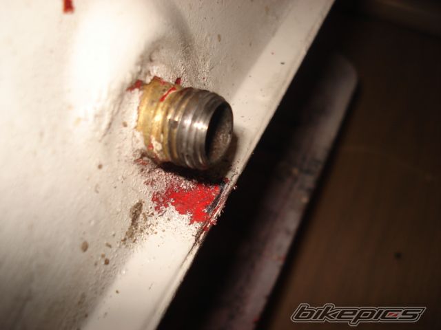 Photo 1040879