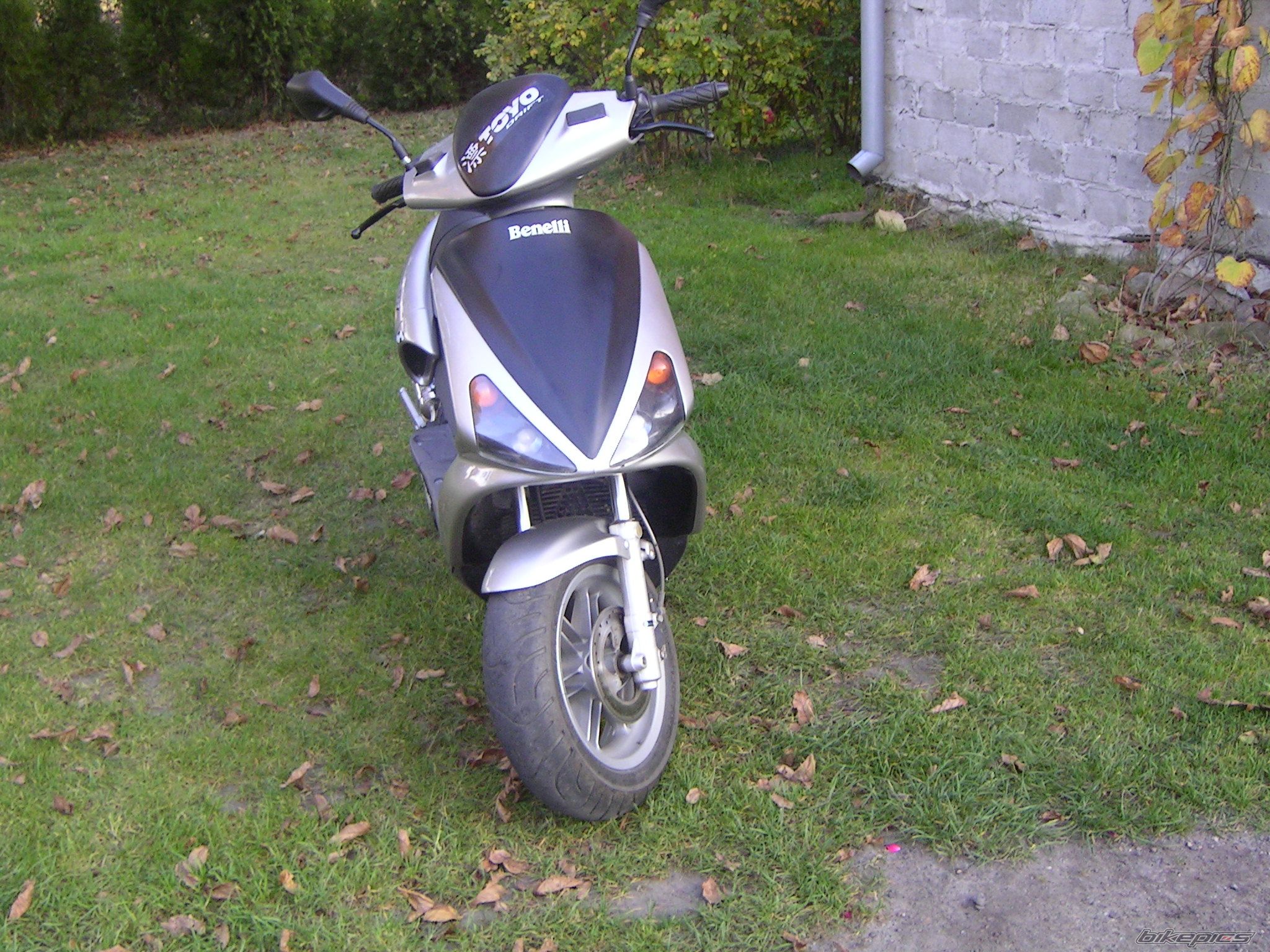 Photo 1040982