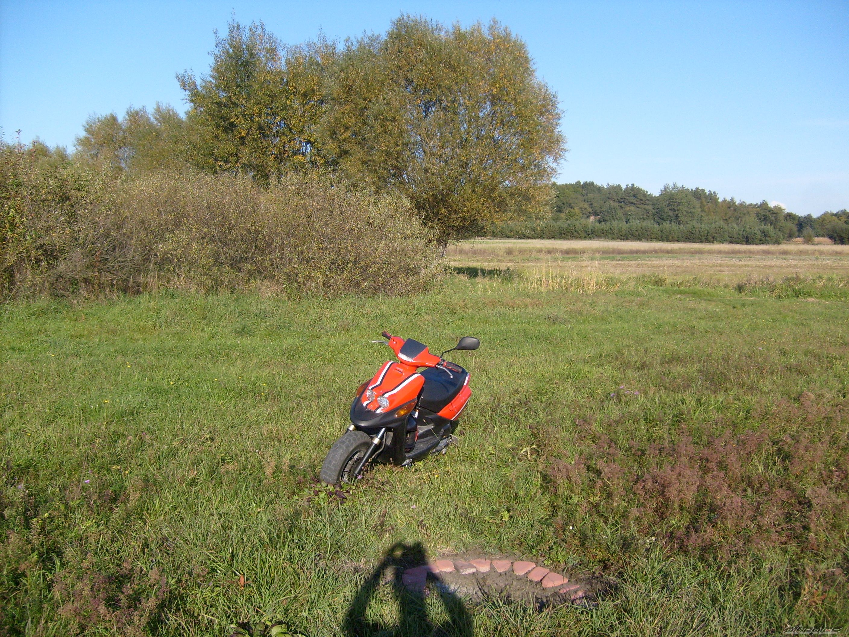 Photo 1041078