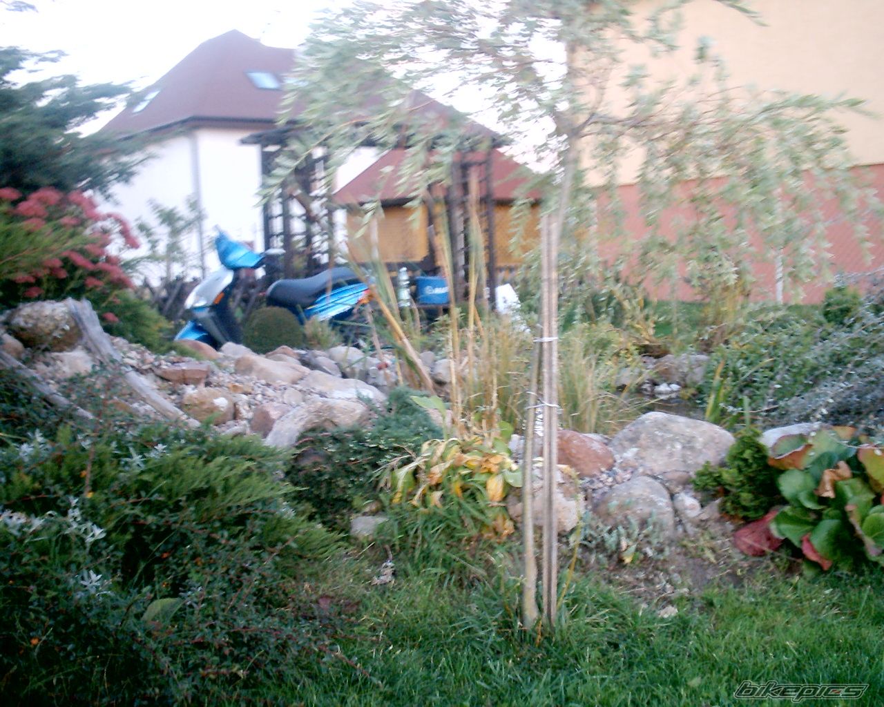 Photo 1041207