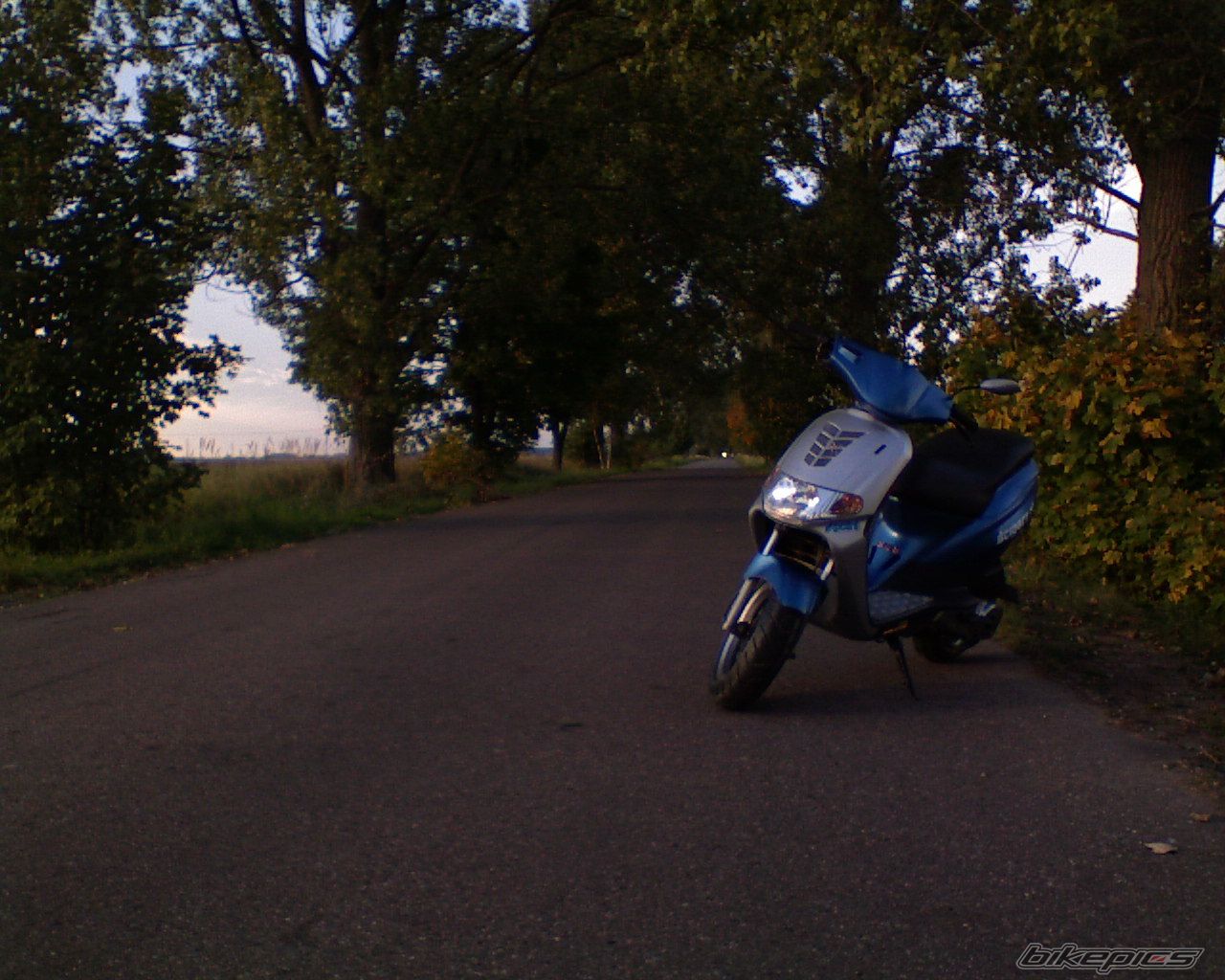 Photo 1041215
