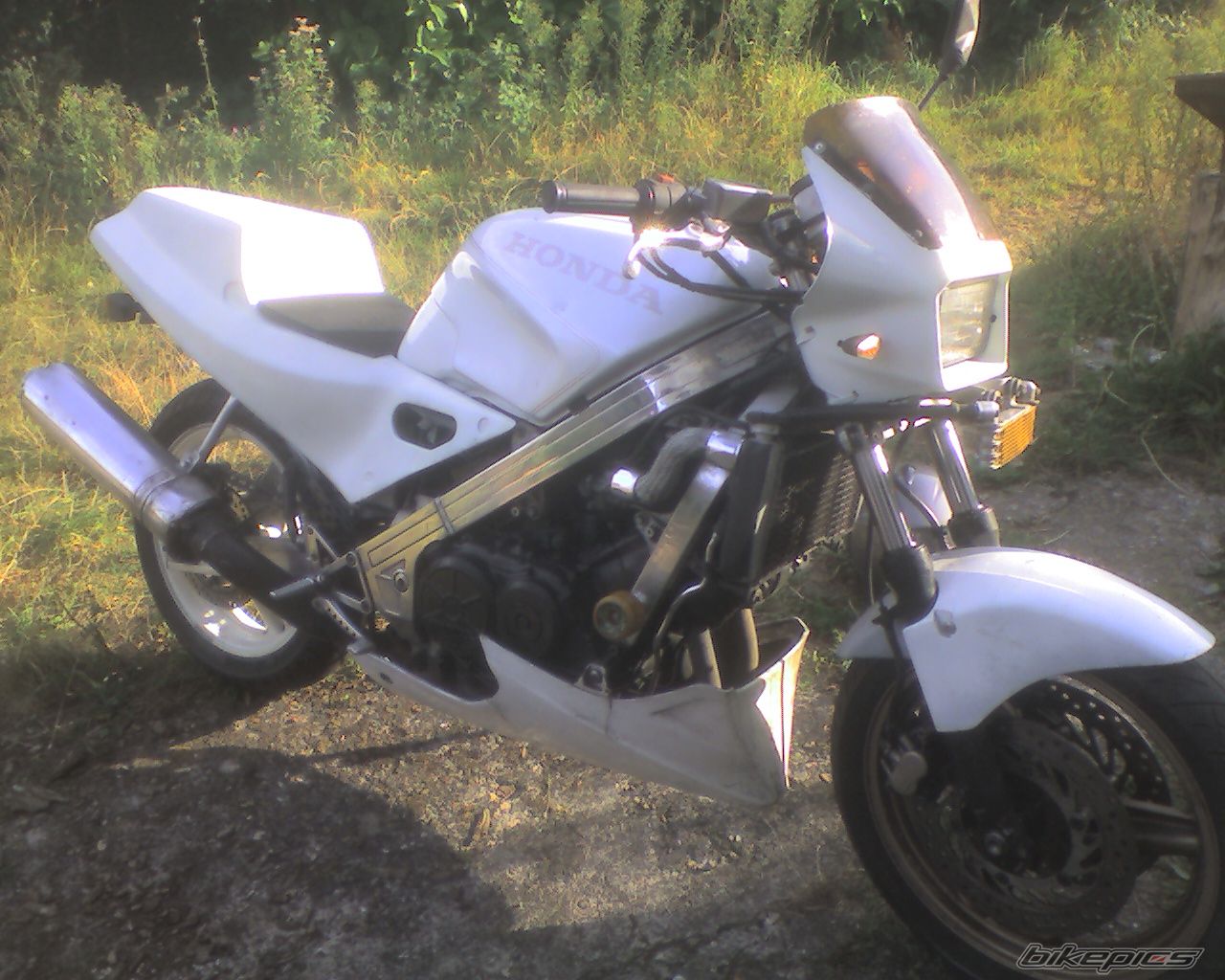 Photo 1041357