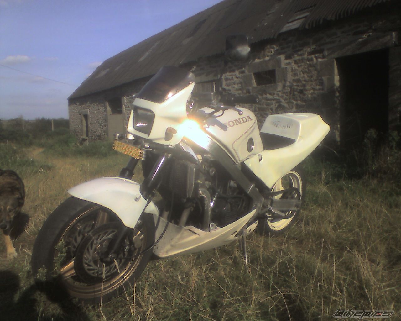 Photo 1041363