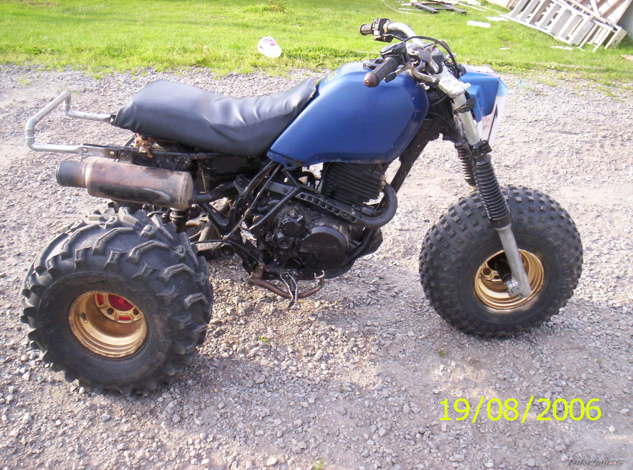 Photo 1041420
