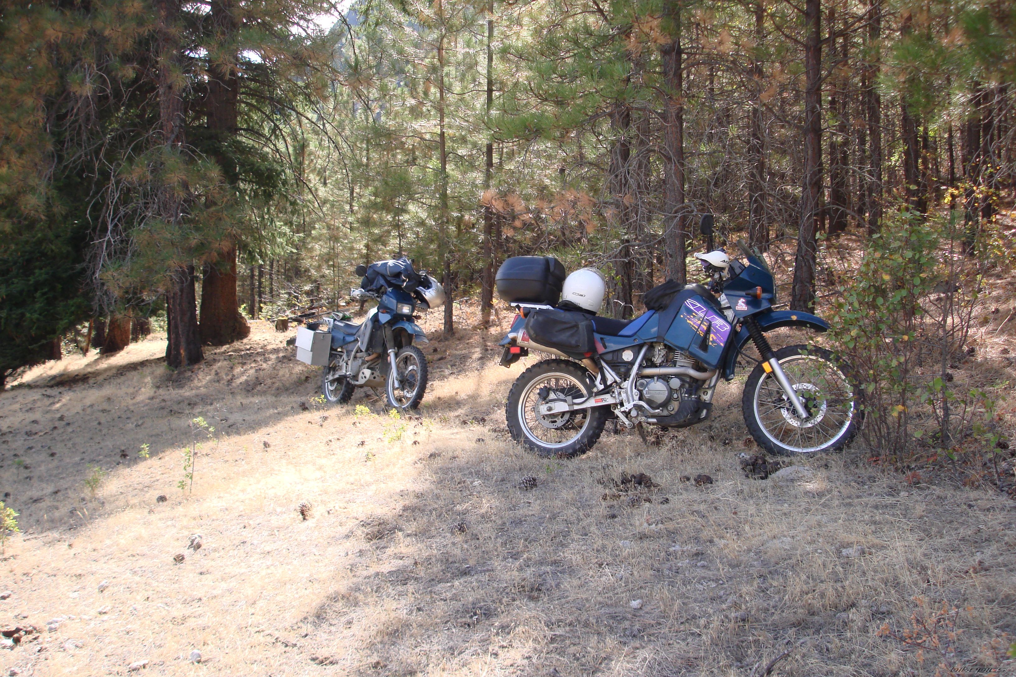 Photo 1041463