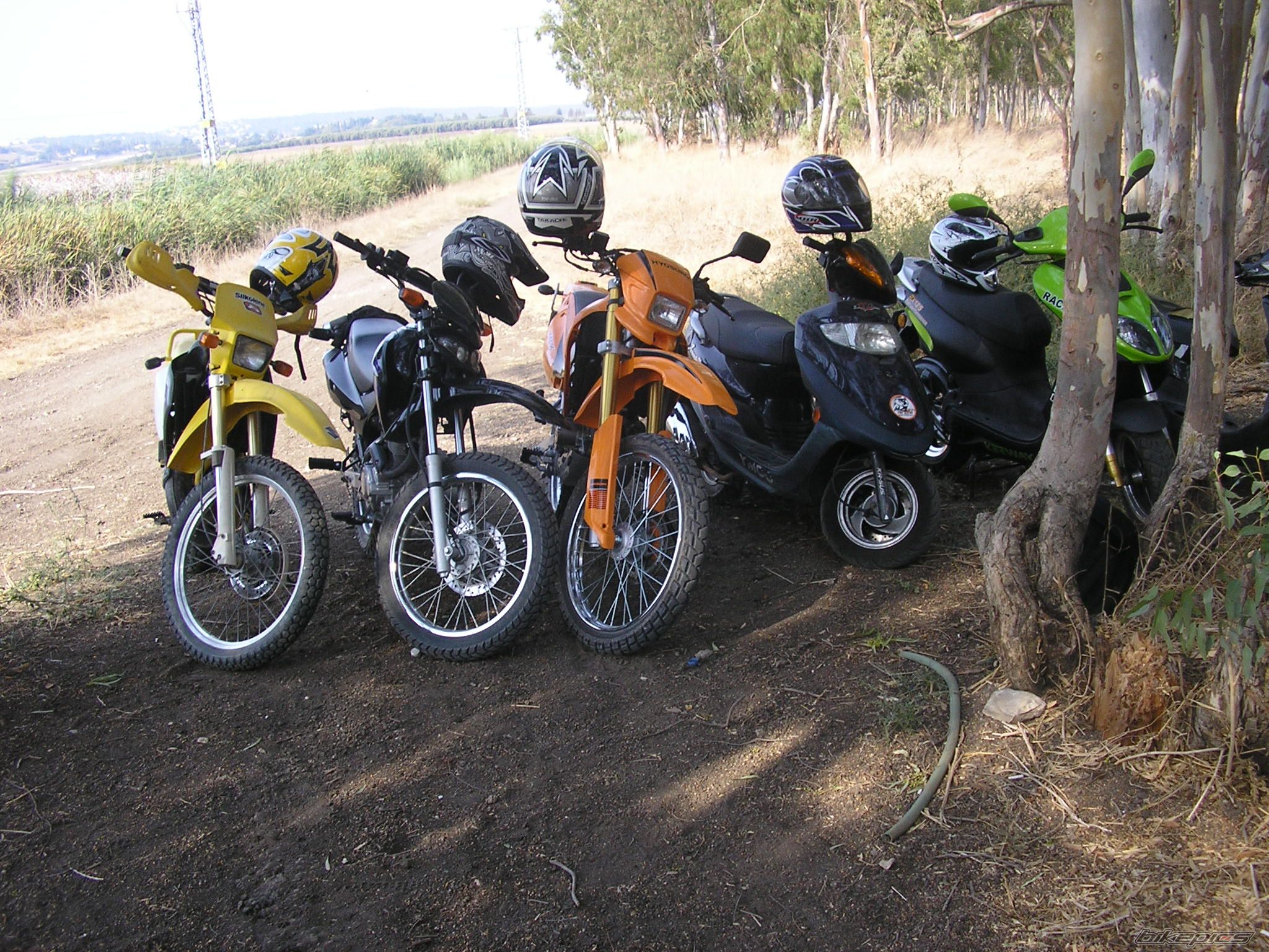 Photo 1041480