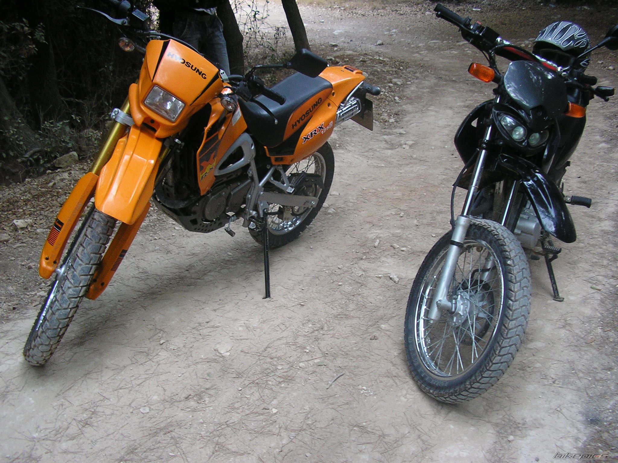 Photo 1041482