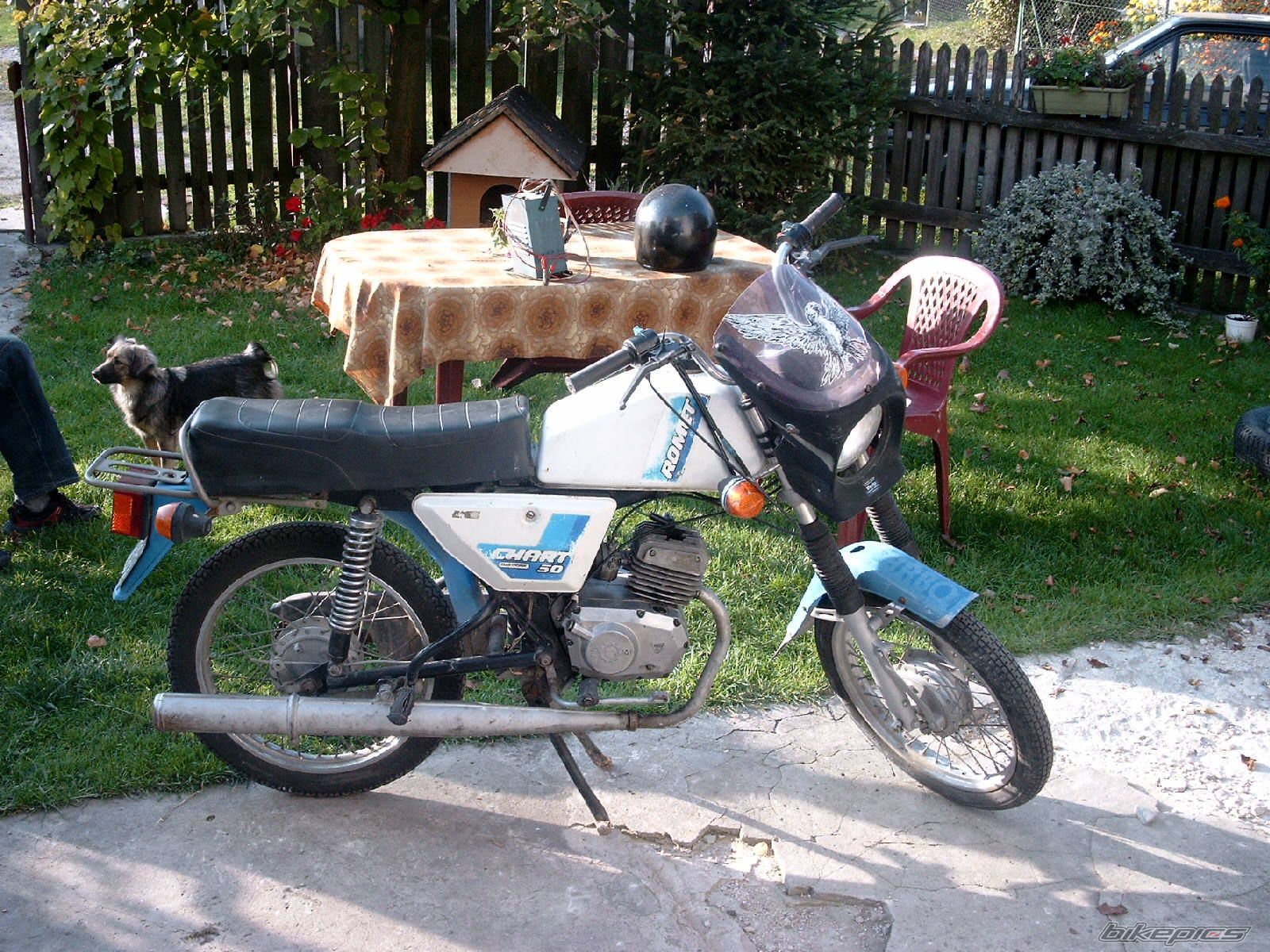 Photo 1041981