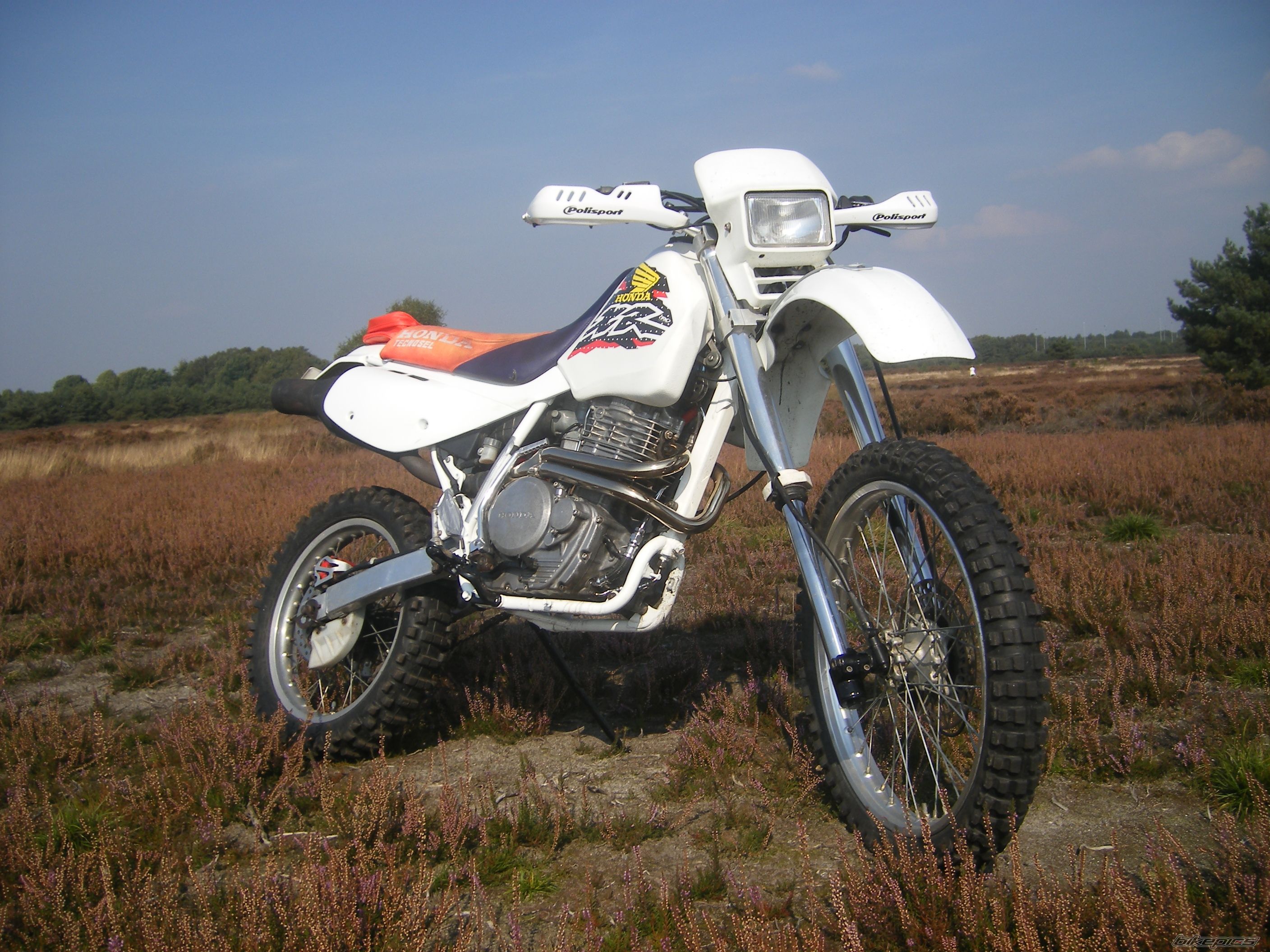 Bike Photo 1042013