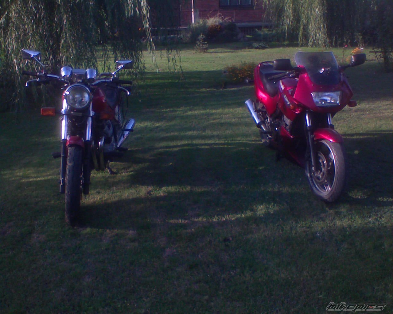 Photo 1042061