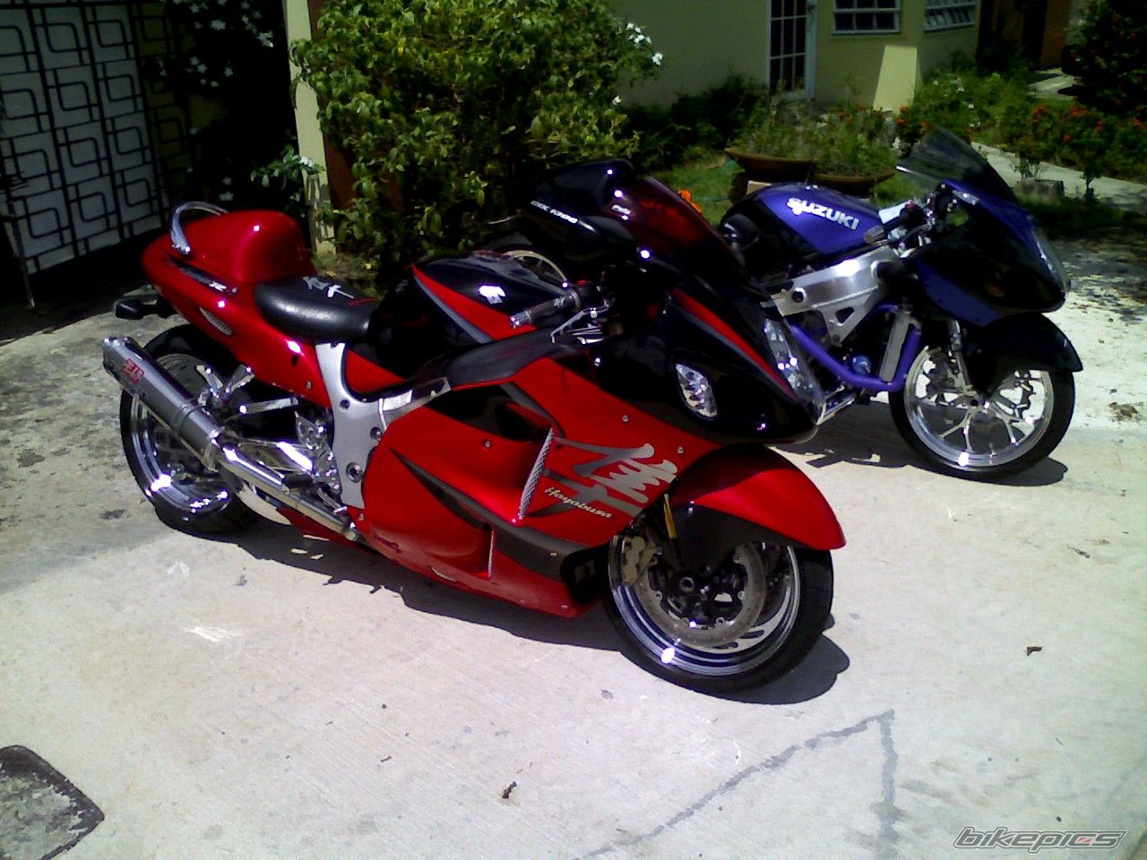 Photo 1042130