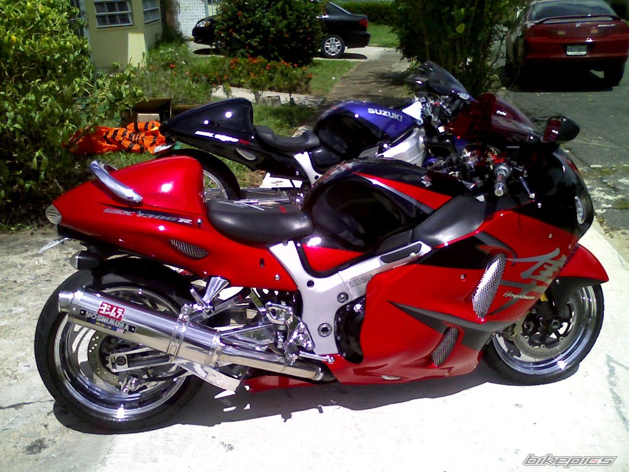 Photo 1042142