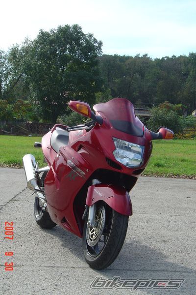 Photo 1042202