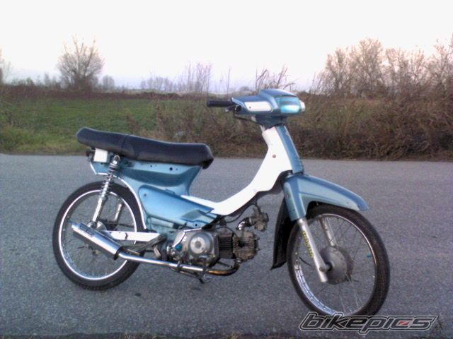 Photo 1042283
