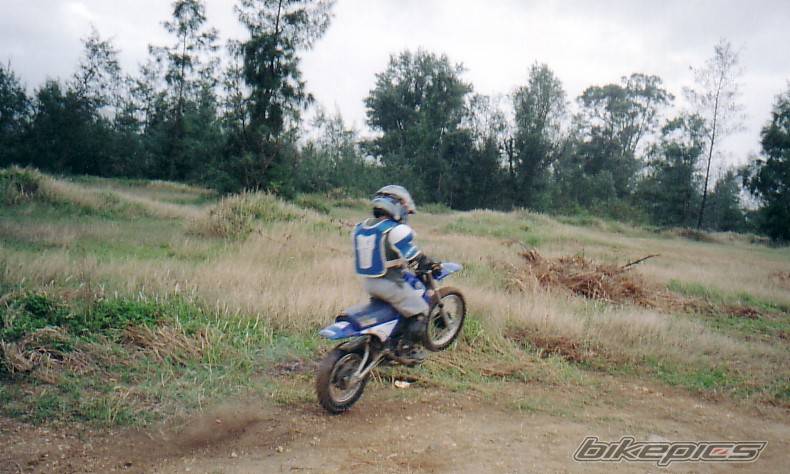 Photo 104231
