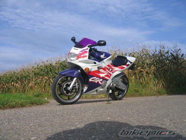 Photo 1042324