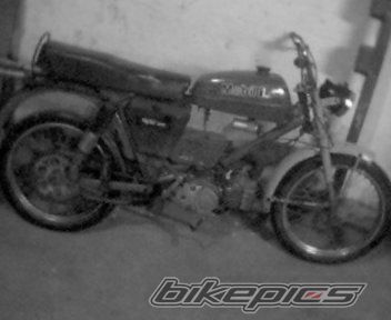 Photo 1042355