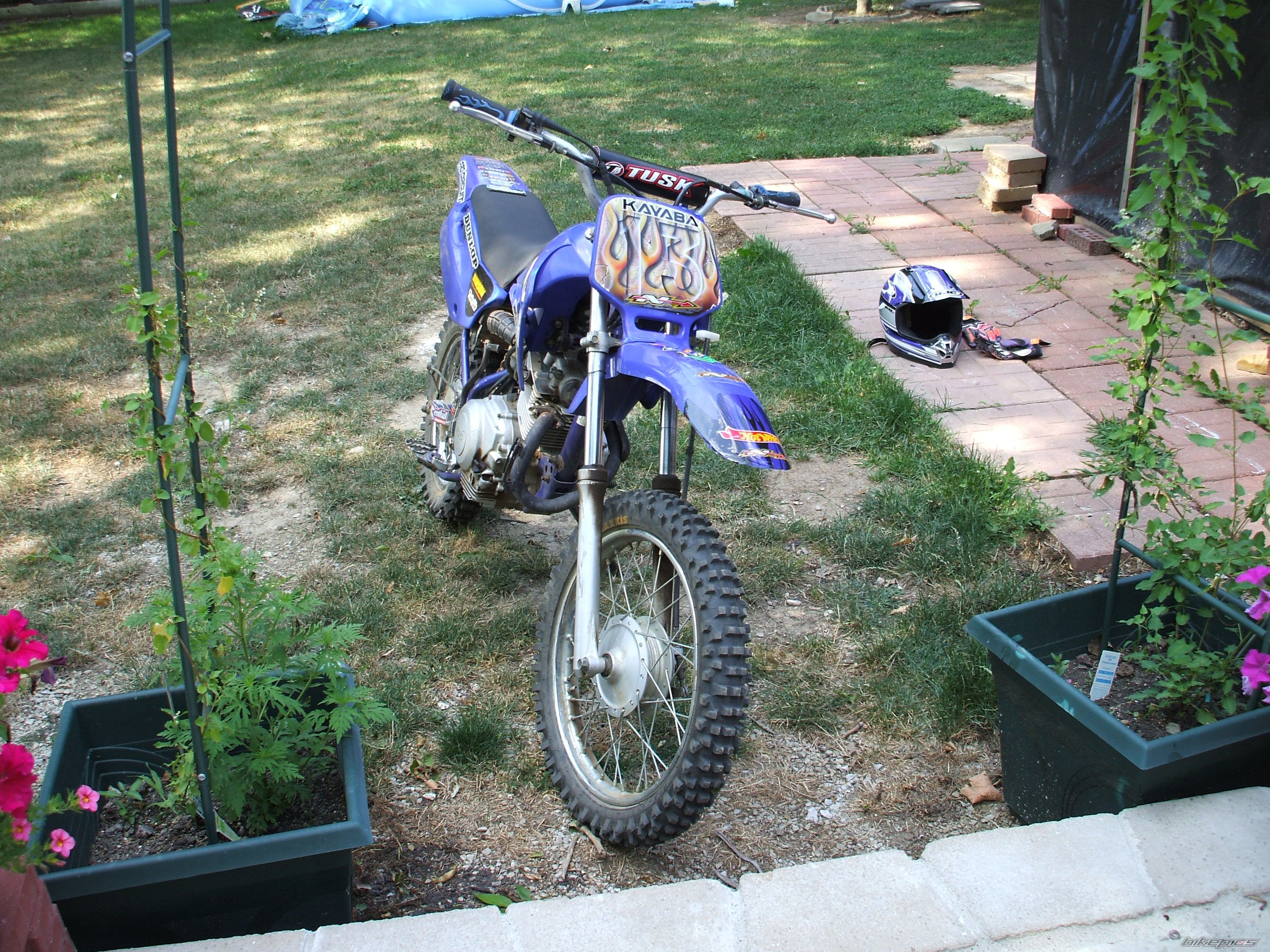 Photo 1042453