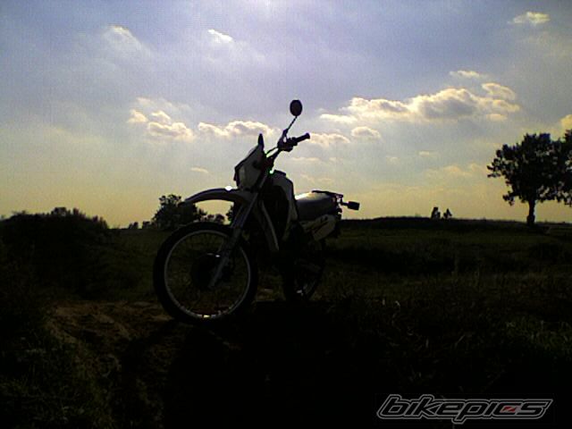 Bike Photo 1042460