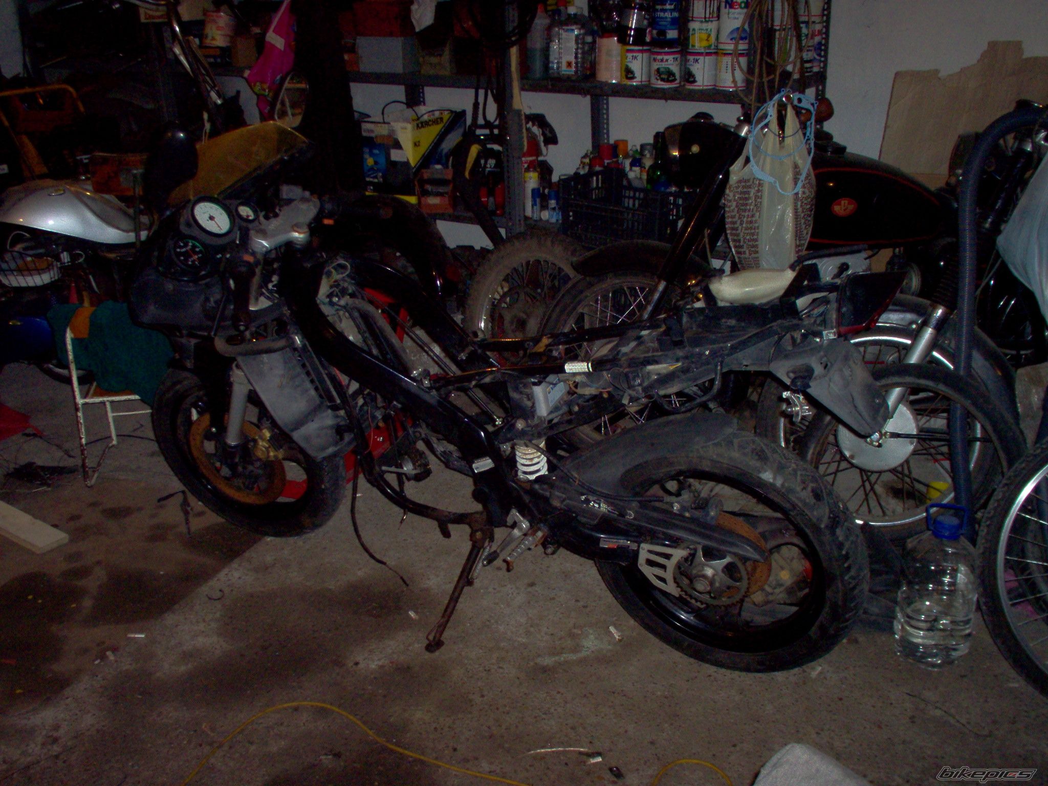 Photo 1042465