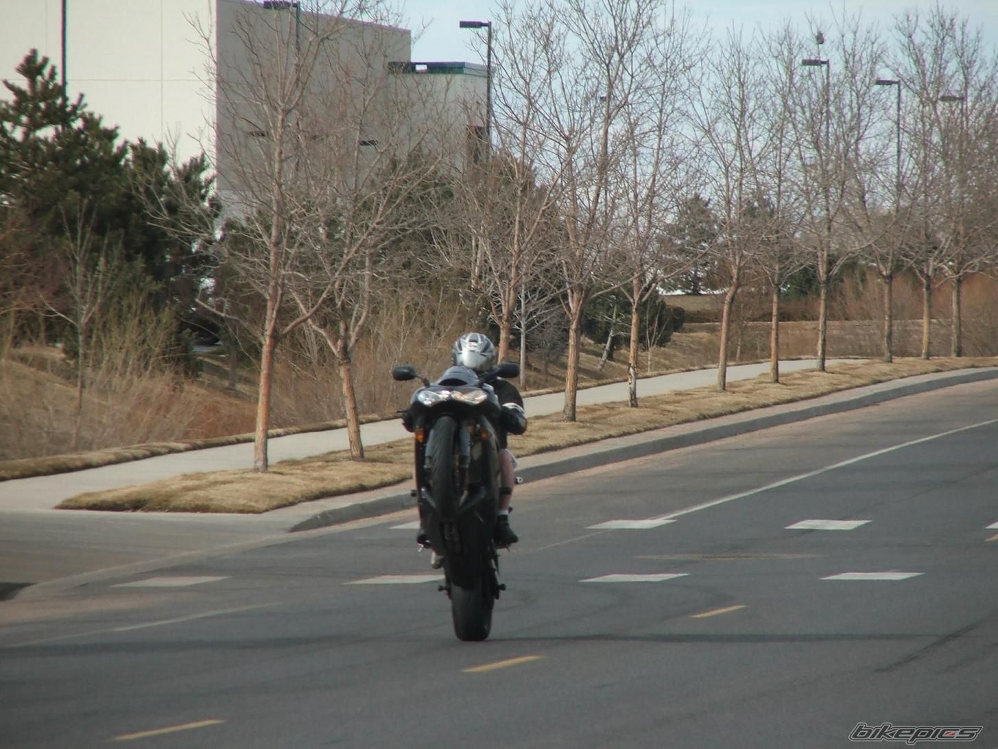 Photo 1042469