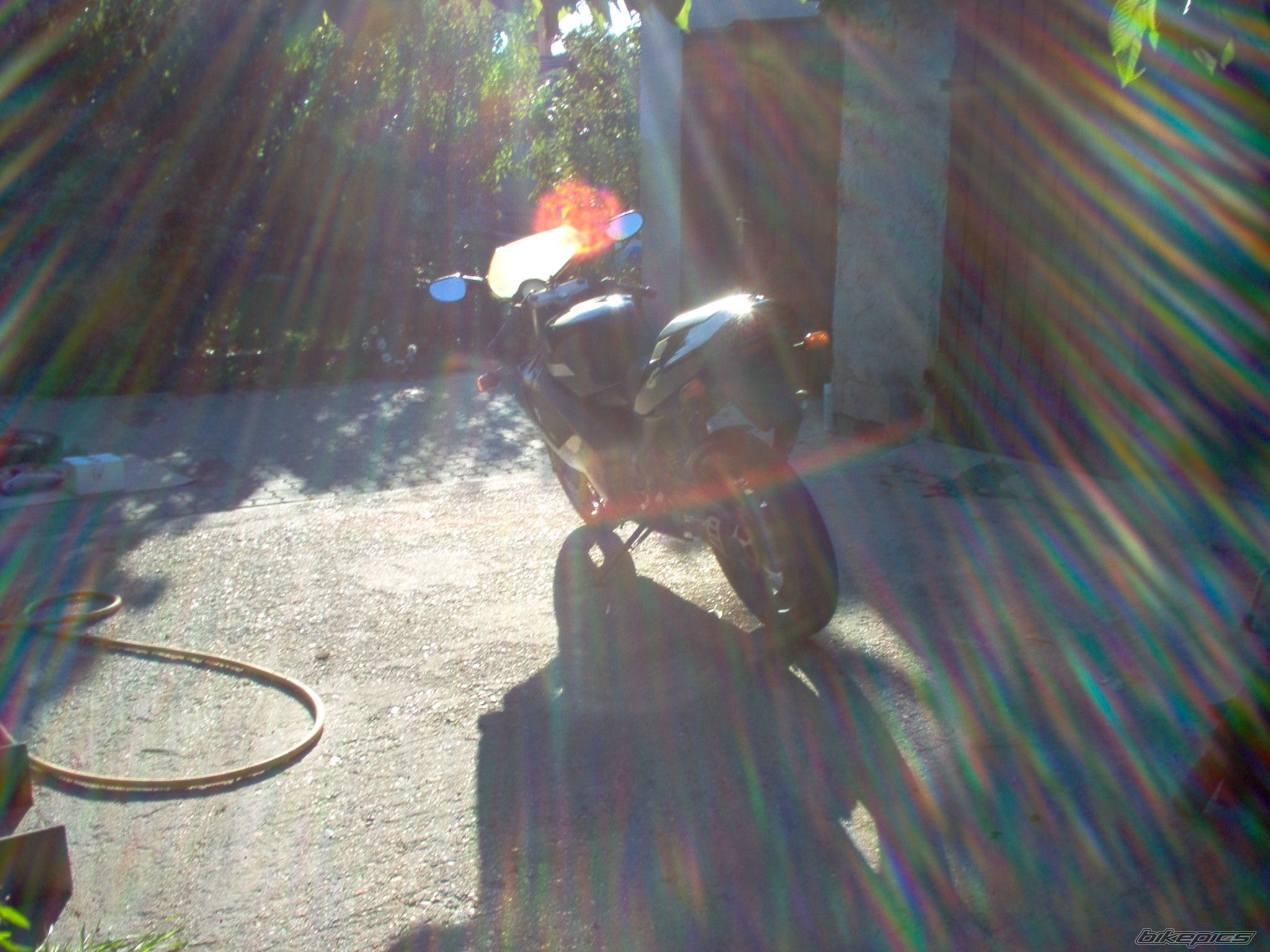 Photo 1042479