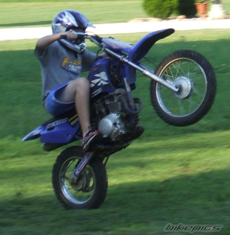 Photo 1042493