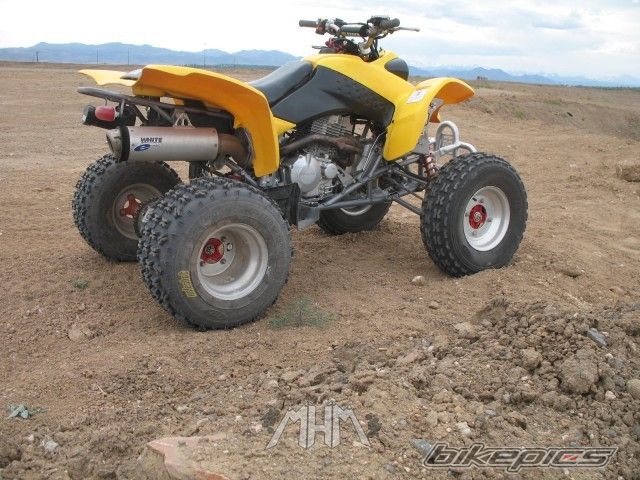 Photo 1042498