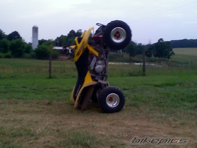 Photo 1042549