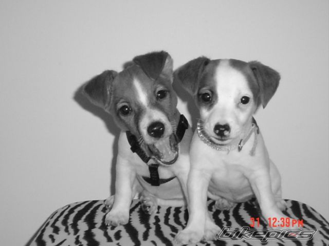 Photo 1042585