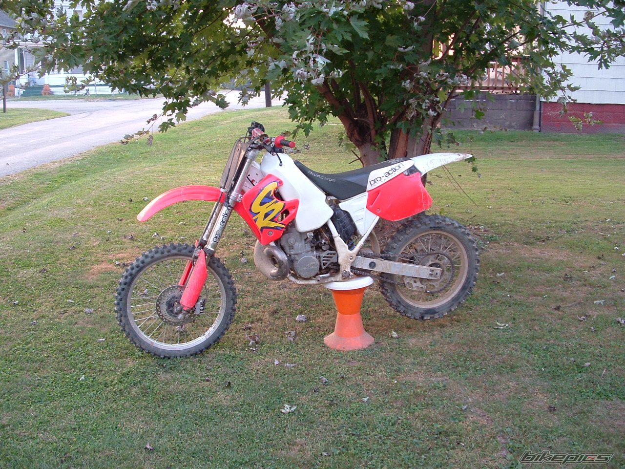 Photo 1042640