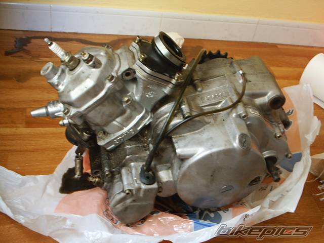 Photo 104268