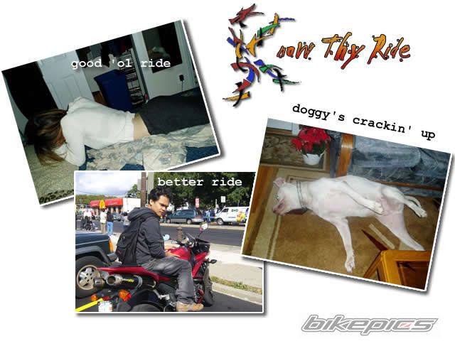 Photo 1042726