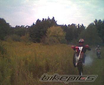 Photo 10428