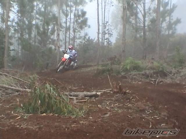 Bike Photo 104283