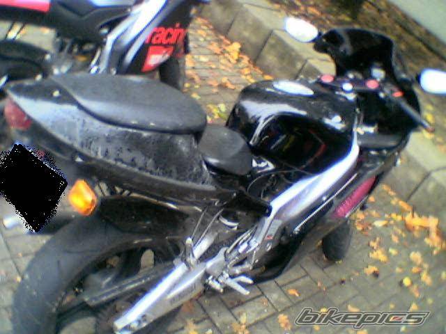 Photo 104289