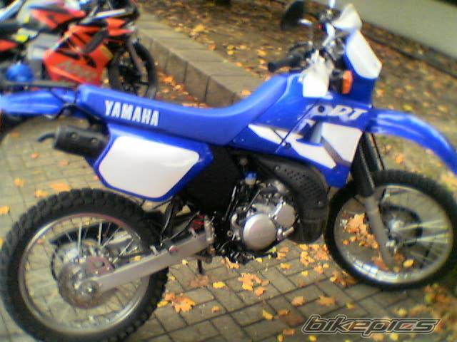 Photo 104290