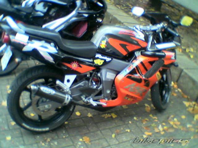 Photo 104293