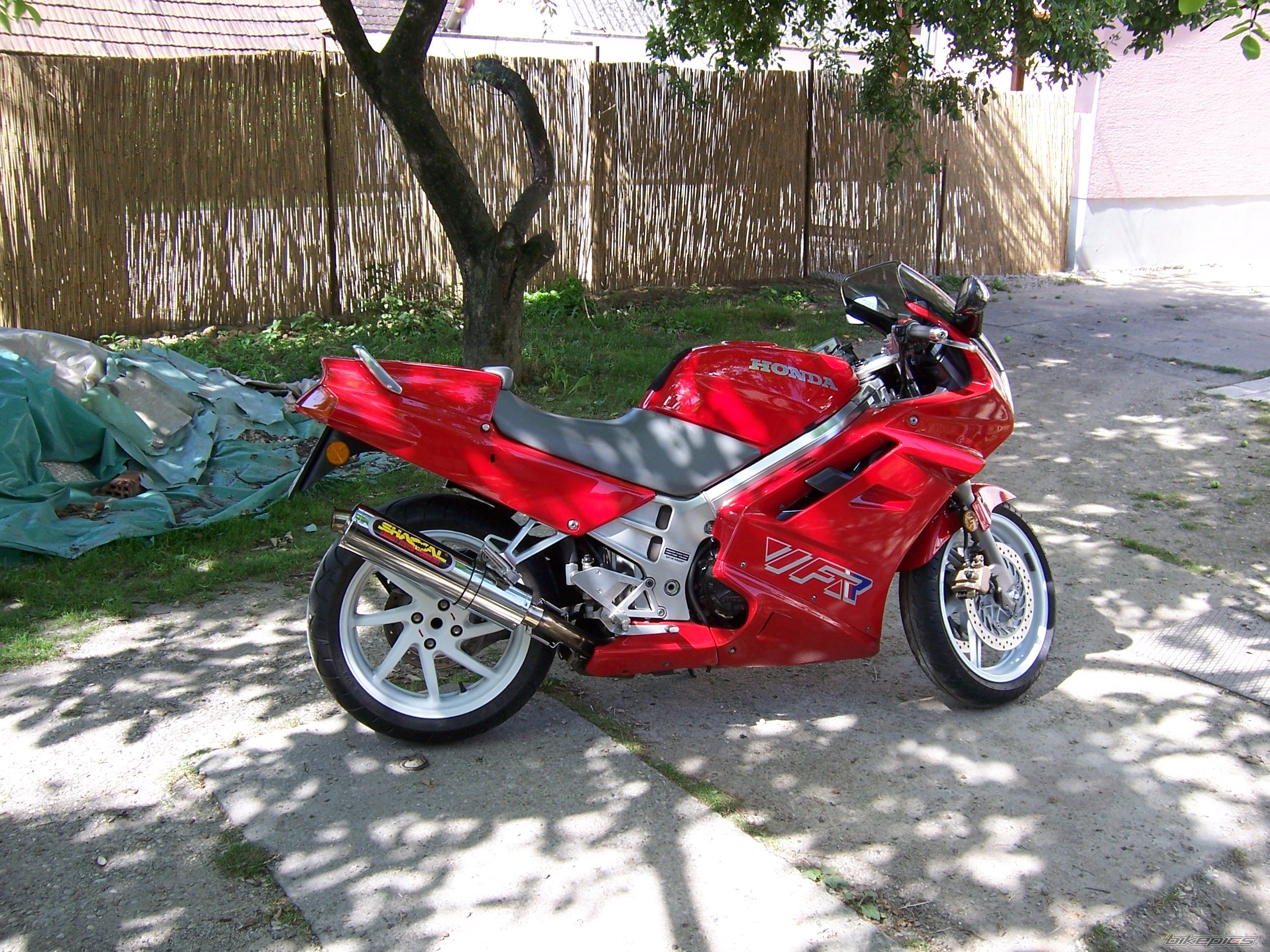 Photo 1042939