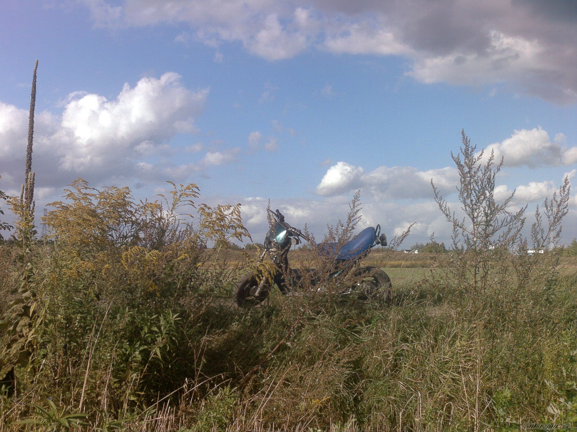 Bike Photo 1042997
