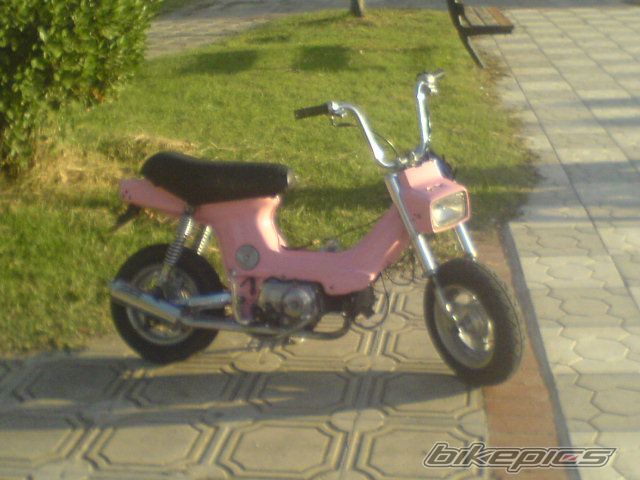 Photo 1043401