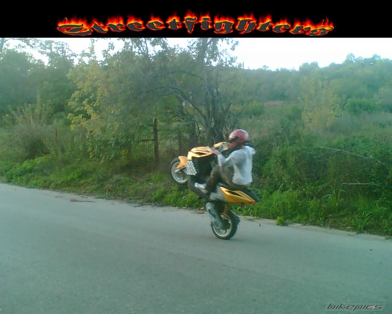 Photo 1043462
