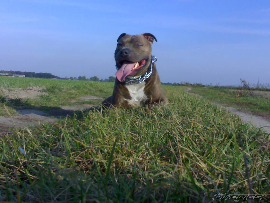 Photo 1043463