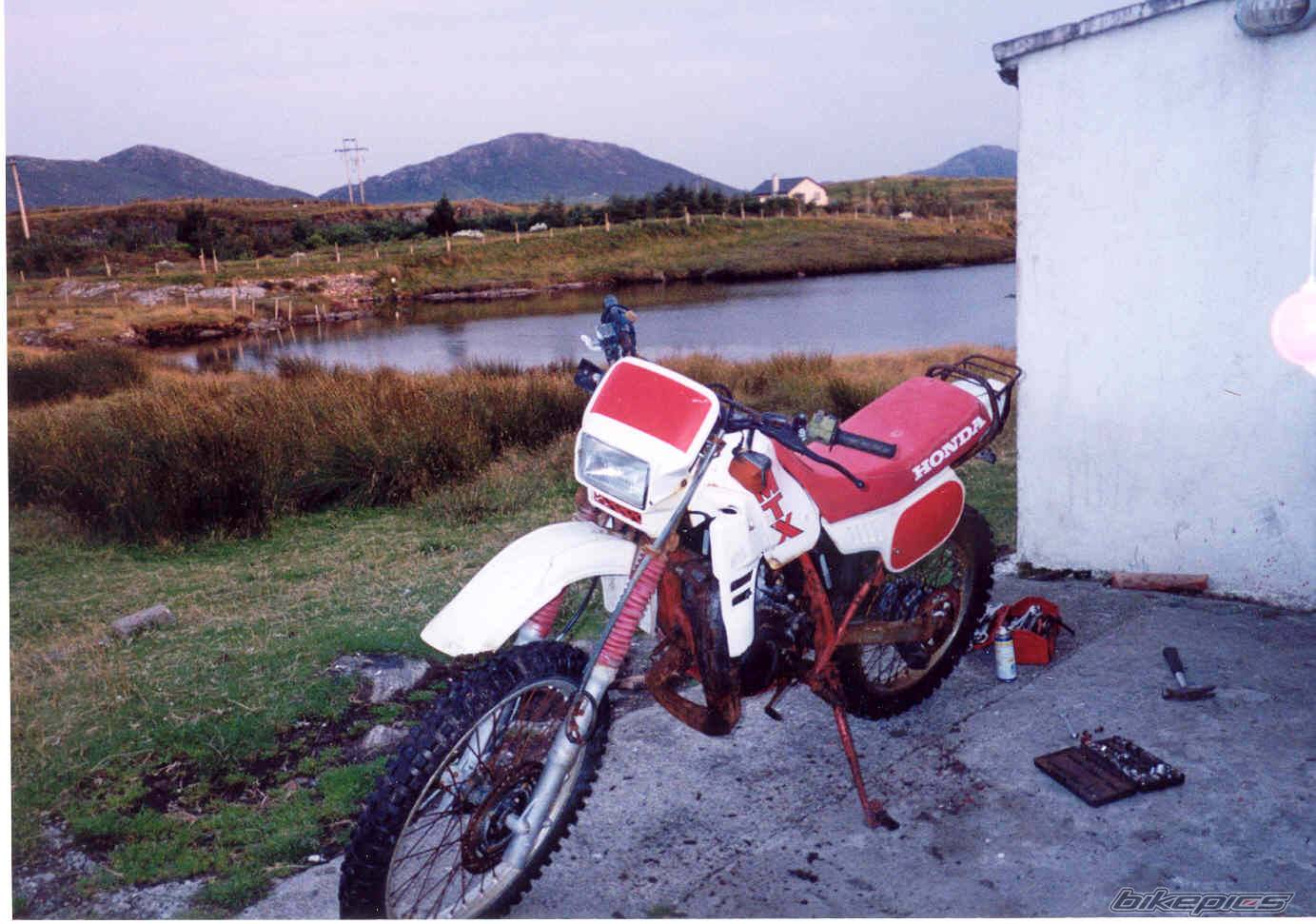 Bike Photo 104386