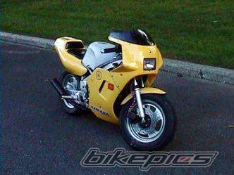 Photo 10439