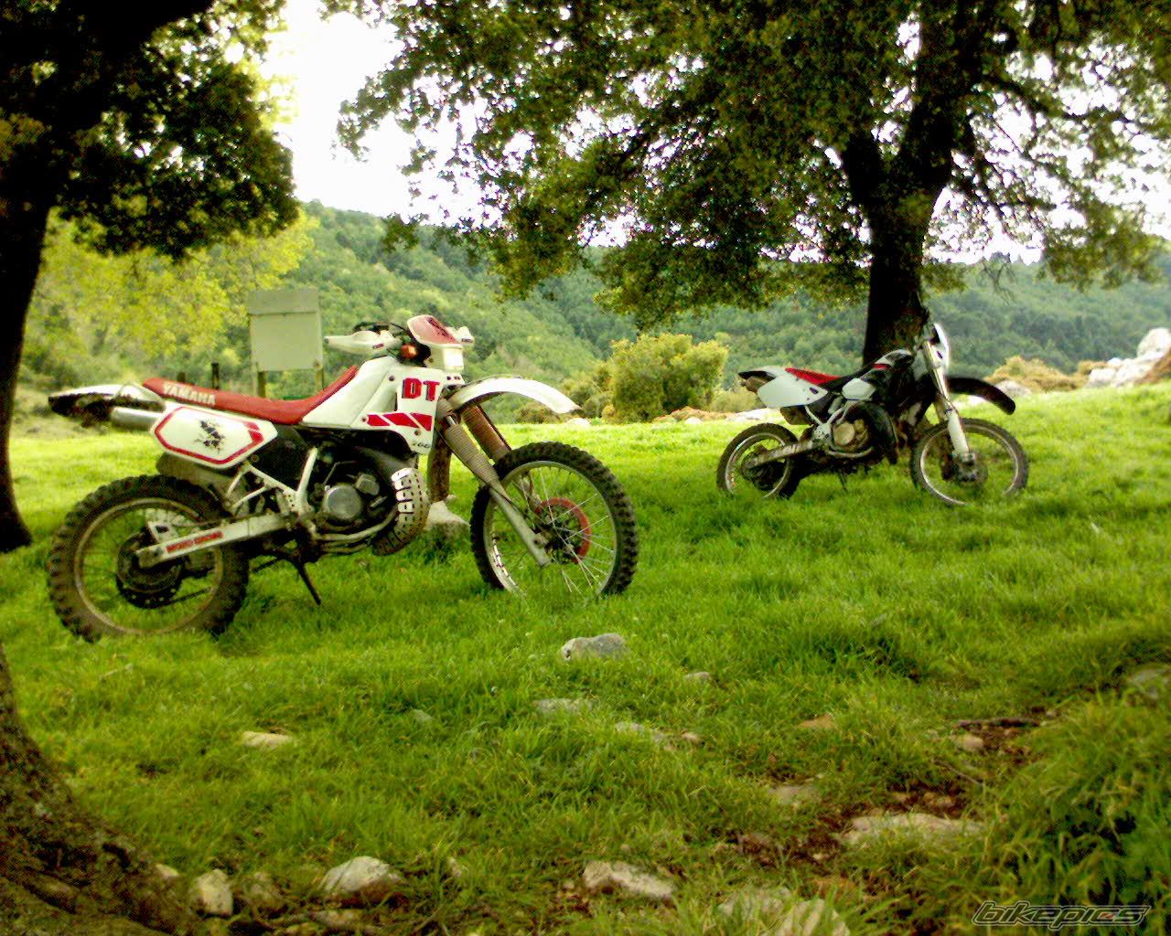 Photo 1043960